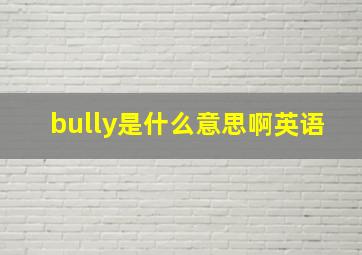 bully是什么意思啊英语