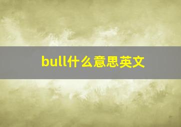 bull什么意思英文