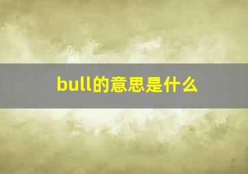 bull的意思是什么