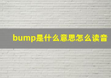 bump是什么意思怎么读音