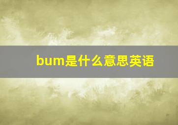 bum是什么意思英语