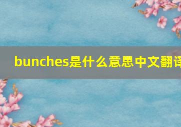 bunches是什么意思中文翻译