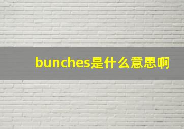 bunches是什么意思啊