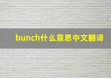 bunch什么意思中文翻译