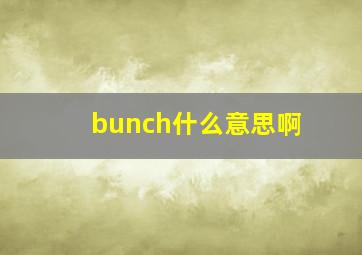 bunch什么意思啊