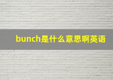 bunch是什么意思啊英语