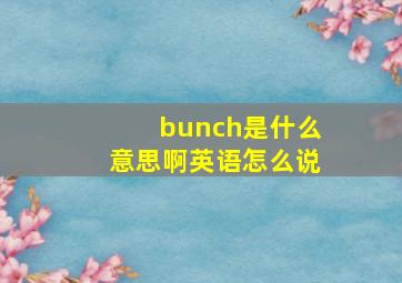 bunch是什么意思啊英语怎么说