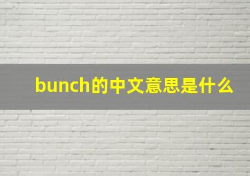 bunch的中文意思是什么