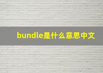 bundle是什么意思中文