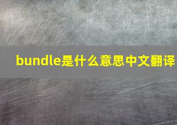 bundle是什么意思中文翻译