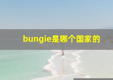 bungie是哪个国家的