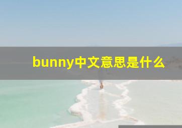 bunny中文意思是什么