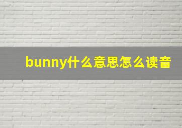 bunny什么意思怎么读音