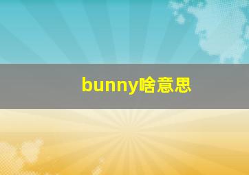 bunny啥意思