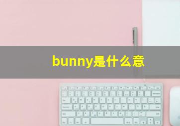 bunny是什么意