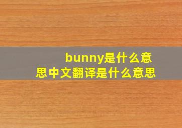 bunny是什么意思中文翻译是什么意思