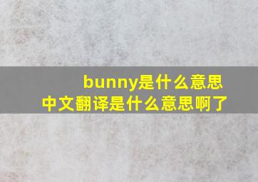 bunny是什么意思中文翻译是什么意思啊了