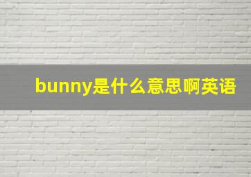 bunny是什么意思啊英语