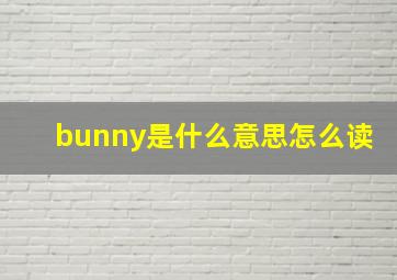 bunny是什么意思怎么读