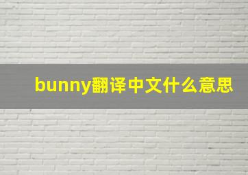 bunny翻译中文什么意思