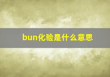 bun化验是什么意思