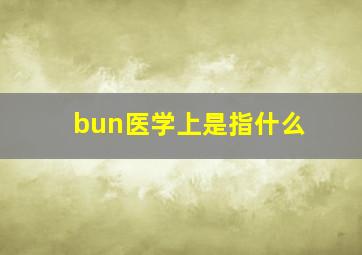 bun医学上是指什么