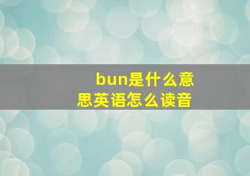 bun是什么意思英语怎么读音