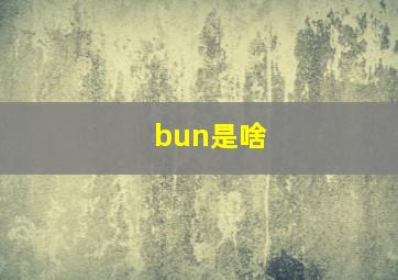 bun是啥