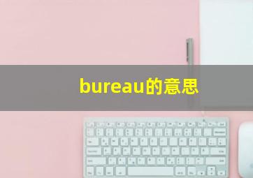 bureau的意思