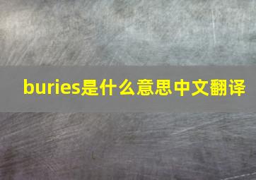 buries是什么意思中文翻译