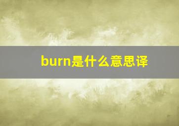 burn是什么意思译