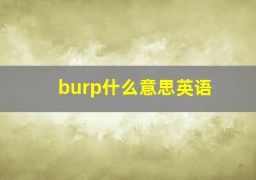 burp什么意思英语