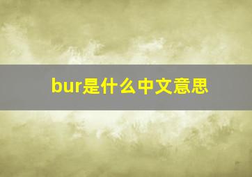 bur是什么中文意思