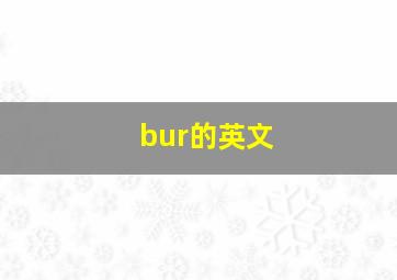 bur的英文