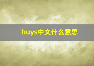 buys中文什么意思