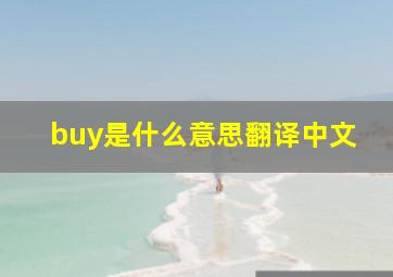 buy是什么意思翻译中文