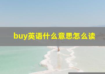 buy英语什么意思怎么读