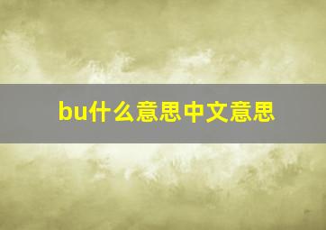 bu什么意思中文意思