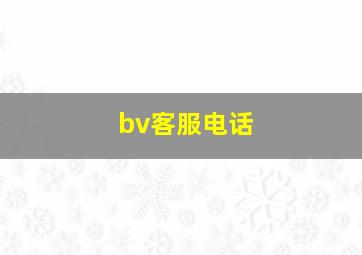 bv客服电话