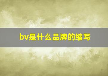 bv是什么品牌的缩写