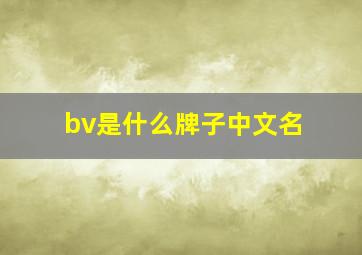 bv是什么牌子中文名