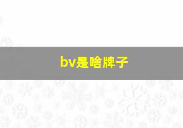 bv是啥牌子