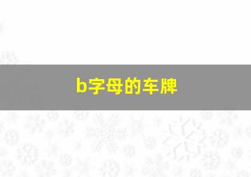 b字母的车牌