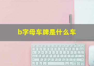 b字母车牌是什么车