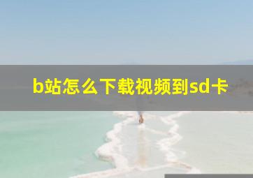 b站怎么下载视频到sd卡