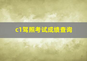 c1驾照考试成绩查询