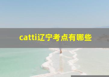 catti辽宁考点有哪些