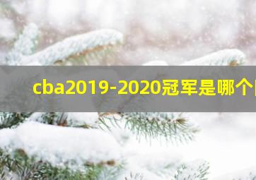 cba2019-2020冠军是哪个队