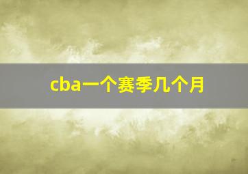 cba一个赛季几个月