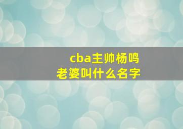 cba主帅杨鸣老婆叫什么名字